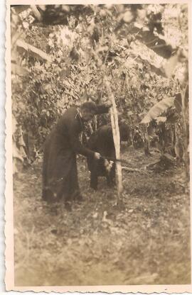 Victor Manuel Sanabria y el Presbítero Benjamín Núñez Vargas cortando matas de café.