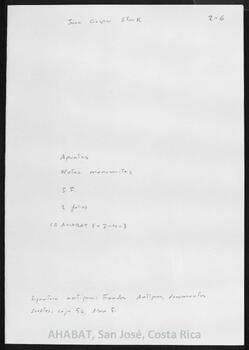 Notas manuscritas (sin fecha)