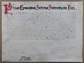 Bula de Pío XI comunicando al cabildo de la Catedral de Alajuela, clero y fieles de la misma diócesis el nombramiento de Mons. Sanabria como obispo de Alajuela