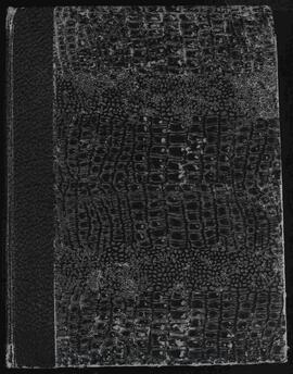 "Monografía sobre la población de la República de Costa Rica en el siglo XIX" y manuscritos de otras publicaciones de Bernardo Augusto Thiel, obispo de Costa Rica