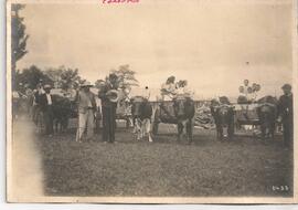 Carretas con yunta de bueyes en San Isidro de Coronado