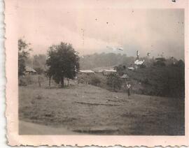 Paisaje en Las Delicias