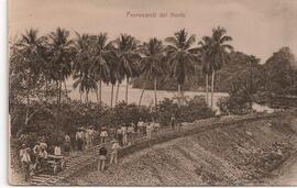 Ferrocarril del Norte